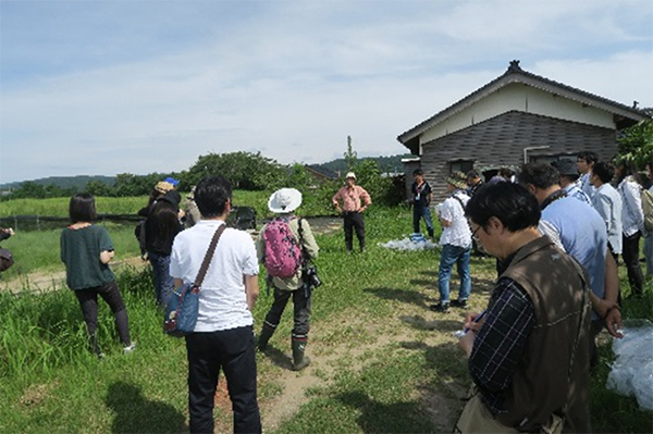 石川県のマオウ栽培地観察会の一風景（平成29年7月29日）