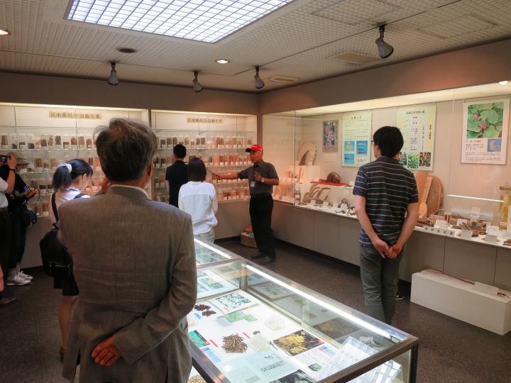 2015年度に東京と薬用植物園にて開催された関東会場講習会の様子